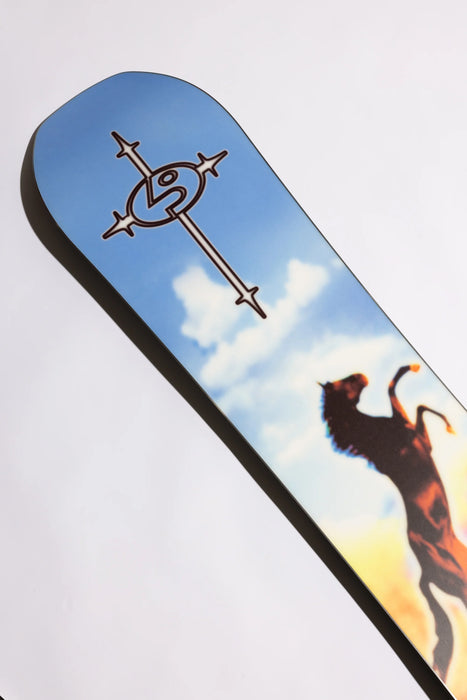 PUBLIC DISPUTE MEN'S SNOWBOARD